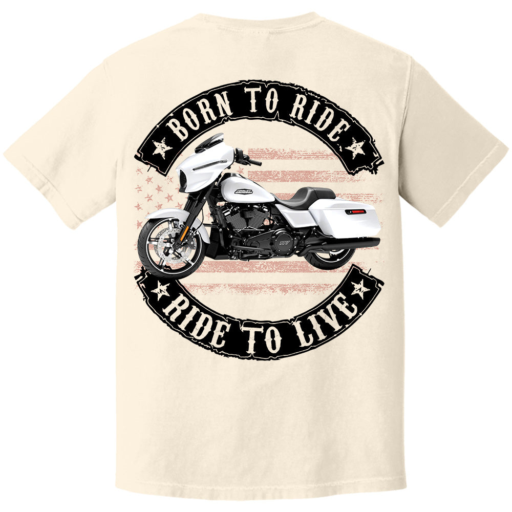 Born To Ride - Ride To Live - Personalized Upload Vehicle Photo For Biker A2110 VH01