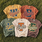 Custom School Mascot Football Baseball Hockey Retro Design Shirt, Custom School Team Tee, Custom Mascot, Personalized Football Shirt For GameDay Nh00