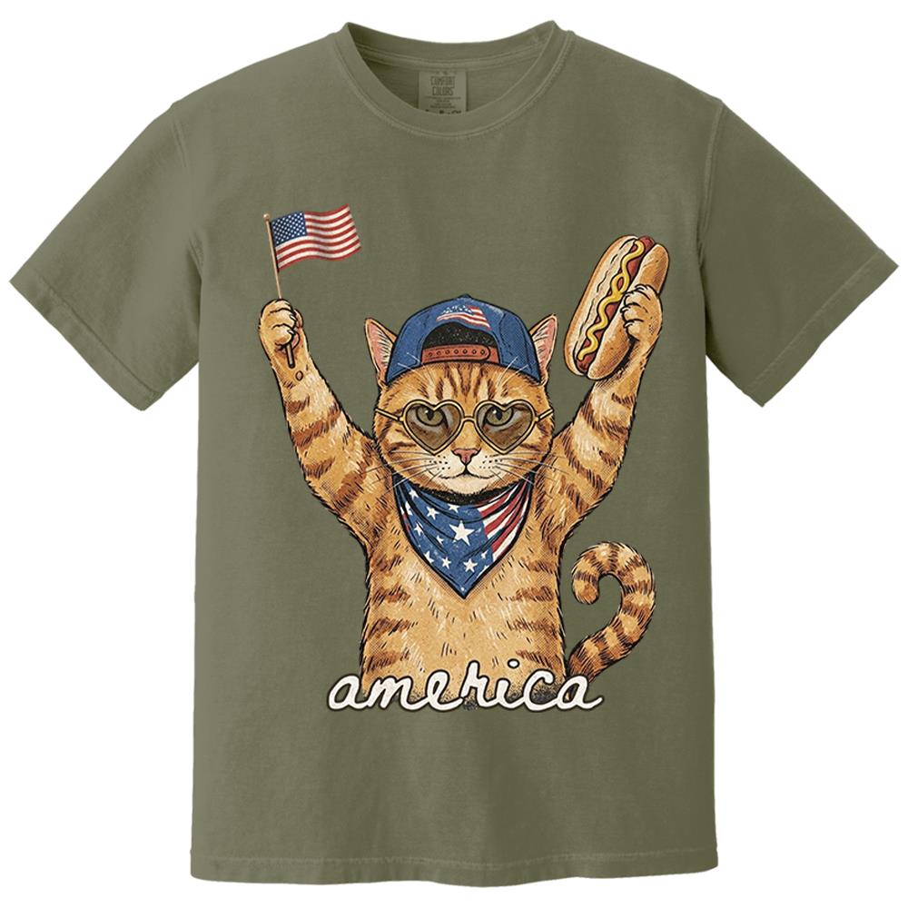 Custom Photo Pet, Patriotic Cat Shirt, Cat Lover Gift, 4th Of July Shirt, America Tee, Independence Day Graphic Nh00